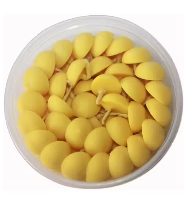 Buy Pure Cow Ghee Diya Batti (200 Pcs Set) Wax-Free Terracotta Clay Diya for Pooja, Festivals & Daily Worship