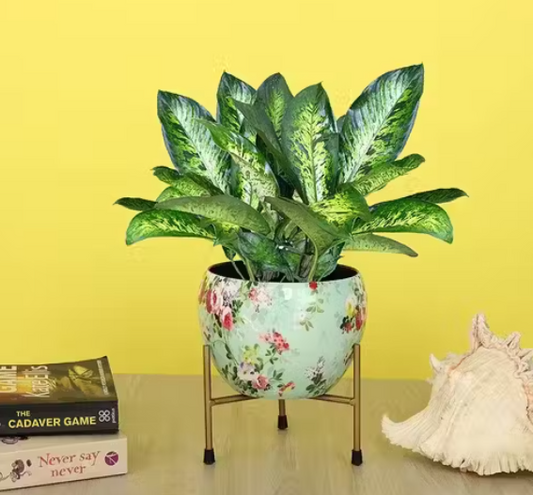 Green Printed Metal Desk Tabletop Plant Pot with Stand